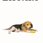 ΑΜΠΕΡΜΑΝ ΈΡ., Σκυλιά