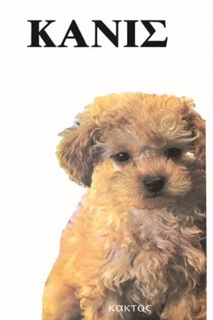 ΑΜΠΕΡΜΑΝ ΈΡ., Κανίς