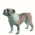 ΑΜΠΕΡΜΑΝ ΈΡ., Μπουλντόγκ