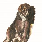 ΧΟΝΑΝ ΈΡ., Χωρίς οικογένεια