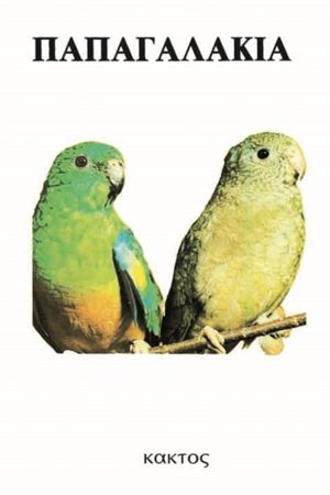 ΑΜΠΕΡΜΑΝ ΈΡ., Παπαγαλάκια