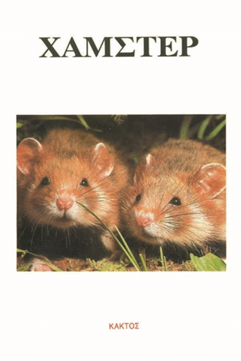 ΑΜΠΕΡΜΑΝ ΈΡ., Χάμστερ