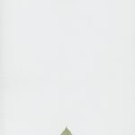 Κατήχηση της Καθολικής Εκκλησίας