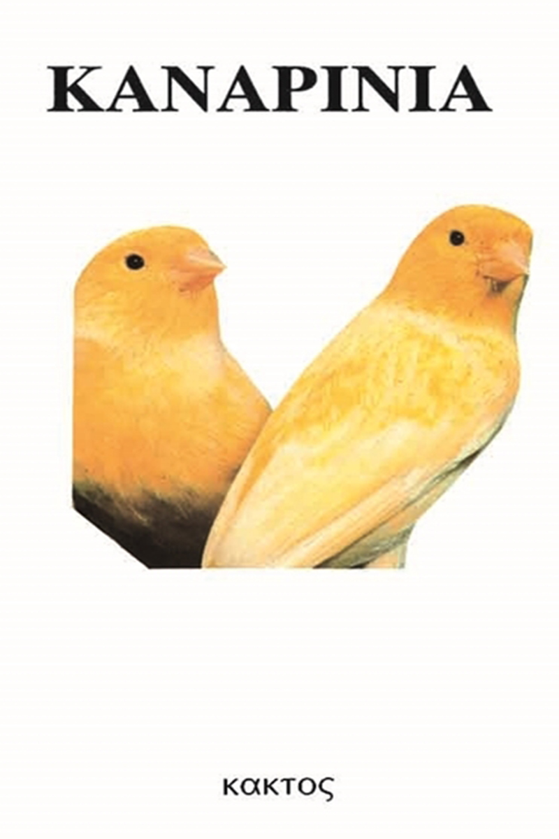 ΑΜΠΕΡΜΑΝ ΈΡ., Καναρίνια